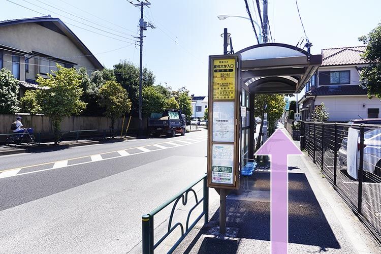 嘉悦大学入口バス停もそのまま直進